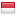 ngulik.org server is located in Indonesia